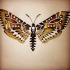 Deathhead moth with brown wings tattoo design by Mecchaii