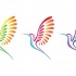 Different-color hummingbirds tattoo design