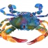 Difficult-colored painting static crab tattoo design