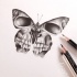 Dotwork butterfly with skull pattern tattoo design