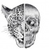 Dotwork hald skull half-leopard tattoo design