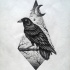 Dotwork raven on nature view rhombus background tattoo design