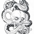 Drawing black-and-white snake and skull by Njeststudio