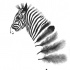 Elegant grey-ink zebra with feather stripes tattoo design