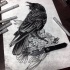 Evil and good bird fight tattoo design by Alexander Grim