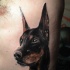 bel cane testa Doberman nero e bianco tatuaggio su lato