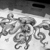 Exiting black-and-white octopus tattoo design