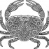 Exiting floral-patterned crab tattoo design