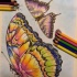 Exiting multicolor butterflies tattoo design