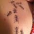 Tatuaje  de un montón de hormigas realistas