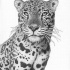 Fantastic grey-ink jaguar portrait tattoo design by Mikebontoft