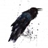 Fantastic watercolor raven tattoo design