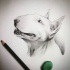 Fantastic white bull terrier dog head tattoo design