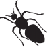 Fat full-black ant silhouette tattoo design