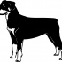 Fine black-and-white standing rottweiler tattoo design