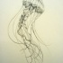 Fine grey-ink swimming jellyfish tattoo design