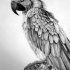 Fine realistic grey-ink parrot tattoo design