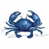Fine single blue crab tattoo design