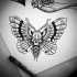 Fine uncolored dotwork moth tattoo design