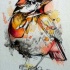 Fluffy orange watercolor sparrow tattoo design