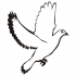 Flying dove with black wing and tail tattoo design