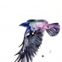 Flying raven with purple watercolor effect tattoo design