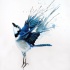 Free blue bird with watercolor wings tattoo design