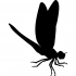 Full-black flying dragonfly tattoo design
