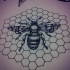 Full-dotwork bee on honeycomb patterned hexagon background tattoo design