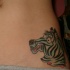 divertente animato testa di zebra tatuaggio su fianco