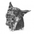 Furious grey-ink doberman head tattoo design