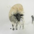 Ghostly watercolor sheeps tattoo design