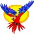 Glad blue-and-red parrot flying on yellow sun background tattoo design