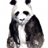 Gloomy black watercolor panda tattoo design