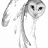 Good-natured grey-color owl tattoo design