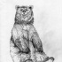 Good black-and-white sitting grizzly tattoo design
