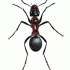 Good colorful ant tattoo design
