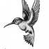 Good dotwork hummingbird tattoo design