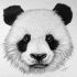 Good fluffy panda face tattoo design