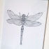 Good simple blue-ink dragonfly tattoo design
