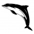 Gorgeous black-and-white dolphin tattoo design
