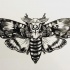 Gorgeous black-and-white moth tattoo design