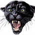 Gorgeous black roaring panther tattoo design