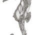Gorgeous different-printed seahorse tattoo design