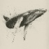Gorgeous swimming whale in watercolor splashes tattoo design