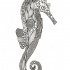 Gorgeous uncolored nice-printed seahorse tattoo design