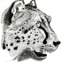 Great black-and-white cheetah head in profile tattoo design