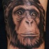 Tatuaje  de chimpancé que mira arriba
