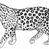 Great black-and-white walking jaguar tattoo design