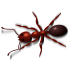 Great dark red crawling ant tattoo design